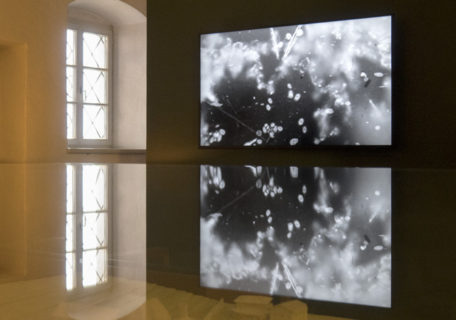 Gudrun Barenbrock – Floating Matter – Water Light Lab Brixen, Kloster Neustift/Novacella 2023