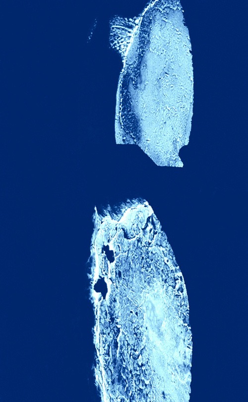 Blaumetall – Lichtkasten Detail 1
